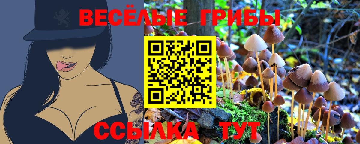 Ессентуки  Галлюциногенные грибы ЛСД  даркнет сайт  Вход с VPN 